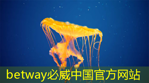 betway必威西汉姆联官网：工业互联网硬件品牌有哪些