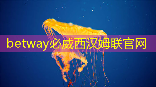 betway必威西汉姆联官网：智慧投影：如何利用智能手机控制投影仪来增加便利性？