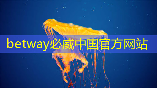 betway必威西汉姆联官网：TCL智慧商显技术：改写商业展示的黄金法则