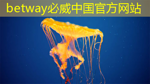 betway必威：家中私人影院打造利器：智慧树和芝麻投影对比你能找到最好的选择！