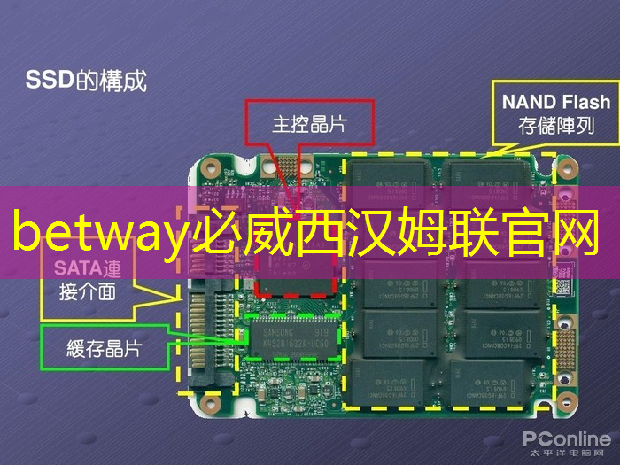 必威：智慧投影：投影设备和电视哪个更适合商业演示？