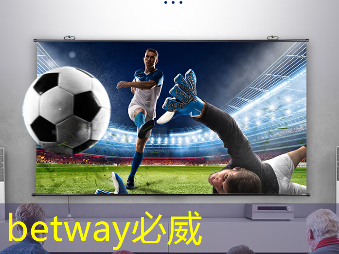 betway必威：汉振案例 ｜ 面结构光三维成像在手机及芯片精密测量中的应用