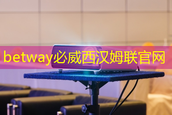 betway必威中国官方网站：单记章：车规级高性能芯片的创新，需要产业链各环节协同 ｜ 第六届金辑奖 · 中国汽车产业影响力人物