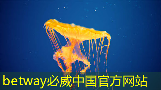 betway必威：公开课预告：一芯多屏趋势下，智能座舱芯片的创新与应用