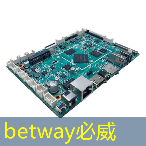 betway必威：技术水平远超华为海思+高通，A股唯一芯片国产替代龙头，下一个大涨1000%的寒武纪