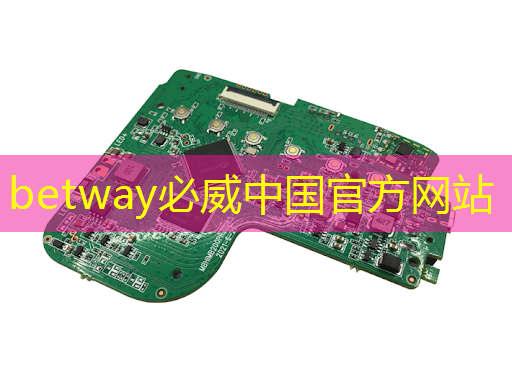 betway必威：张强：中国汽车智能芯片行业里的行动派
