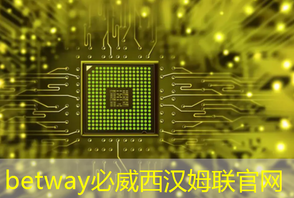 betway必威:鼎信通讯自主研发智能电表芯片,布局新能源市场以降低电网依赖 betway必威:鼎信通讯自主研发智能电表芯片,布局新能源市场以降低电网依赖