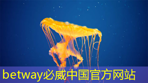 必威:有趣的数据:中国芯片产业在世界上的地位 必威:有趣的数据:中国芯片产业在世界上的地位