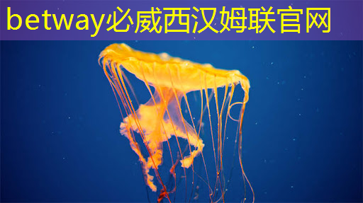 betway必威西汉姆联官网:端到端AI加速只需单芯片?AMD二代Versal自适应SoC带来边缘新突破 betway必威西汉姆联官网:端到端AI加速只需单芯片?AMD二代Versal自适应SoC带来边缘新突破