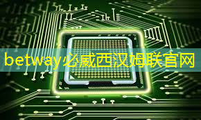 betway必威:清华发布《人工智能芯片技术白皮书(2018)》 betway必威:清华发布《人工智能芯片技术白皮书(2018)》