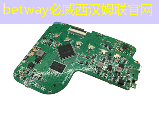 云豹智能产品应用负责人安东尼:云原生DPU芯片的创新与应用|直播预告 云豹智能产品应用负责人安东尼:云原生DPU芯片的创新与应用|直播预告