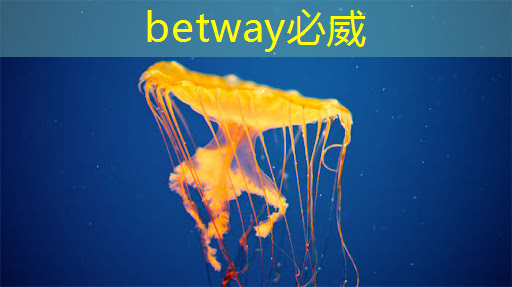 必威:探秘飞腾:国产芯片的崛起之星 必威:探秘飞腾:国产芯片的崛起之星