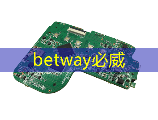 betway必威：中国芯片发展：外力难阻的自主征程