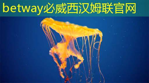 betway必威中国官方网站:SoC 芯片,AI 终端大脑,相关概念股梳理 betway必威中国官方网站:SoC 芯片,AI 终端大脑,相关概念股梳理