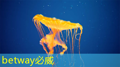 betway必威中国官方网站:芯片禁令对中国企业是挑战还是机遇? betway必威中国官方网站:芯片禁令对中国企业是挑战还是机遇?