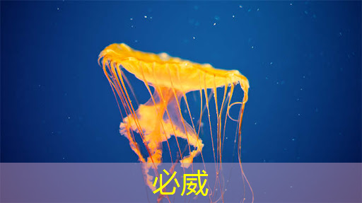 betway必威西汉姆联官网:广汽集团进军人形机器人产业;耐低温自动加氢机器人“上岗”;联发科将于5月7日发布4nm工艺的天玑9300+芯片丨智能制造日报 betway必威西汉姆联官网:广汽集团进军人形机器人产业;耐低温自动加氢机器人“上岗”;联发科将于5月7日发布4nm工艺的天玑9300+芯片丨智能制造日报