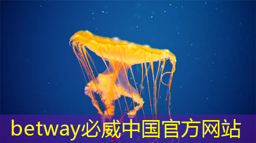 必威:心态崩了,恨死华为,Nova12用过时芯片直接干了安卓旗舰的市场! 必威:心态崩了,恨死华为,Nova12用过时芯片直接干了安卓旗舰的市场!