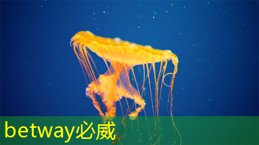betway必威：基于架构创新，后摩智能点亮业内首款存算一体大算力AI芯片