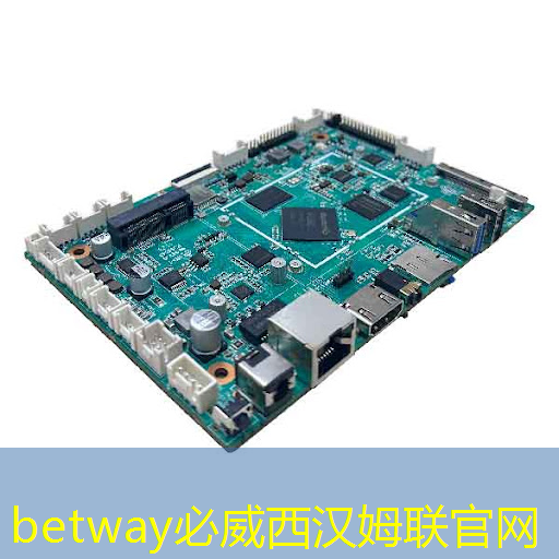 betway必威：云豹智能产品应用负责人安东尼：云原生DPU芯片的创新与应用｜直播预告