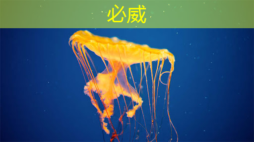 betway必威西汉姆联官网:芯片检测的“无损革命”:半导体非破坏性分析 betway必威西汉姆联官网:芯片检测的“无损革命”:半导体非破坏性分析