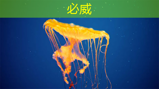 betway必威中国官方网站:芯驰科技汽车芯片系列公开课上线,第一期主讲E3系列车规MCU及ADAS/BMS应用方案 | 直播预告 betway必威中国官方网站:芯驰科技汽车芯片系列公开课上线,第一期主讲E3系列车规MCU及ADAS/BMS应用方案 | 直播预告