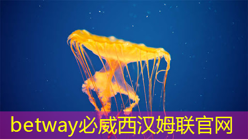 必威:直播预告:单芯片边缘计算SoC在CIS与AI融合上的创新与挑战 必威:直播预告:单芯片边缘计算SoC在CIS与AI融合上的创新与挑战