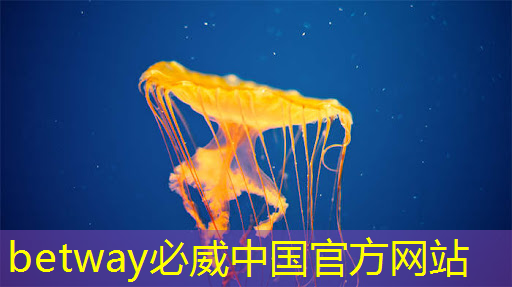 betway必威:波罗的海国家外长就美国人工智能芯片出口限制发出呼吁 betway必威:波罗的海国家外长就美国人工智能芯片出口限制发出呼吁
