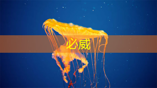 谷歌推出量子芯片Willow:五分钟完成超算10的25次方年的计算;禾赛将推出机器人领域迷你3D激光雷达丨智能制造日报 谷歌推出量子芯片Willow:五分钟完成超算10的25次方年的计算;禾赛将推出机器人领域迷你3D激光雷达丨智能制造日报