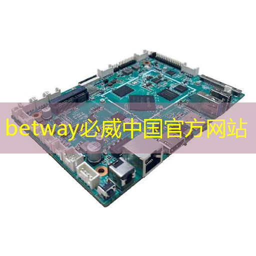 肇观电子CTO周骥:高效实现智能视觉芯片算法部署的关键与挑战|直播课预告 肇观电子CTO周骥:高效实现智能视觉芯片算法部署的关键与挑战|直播课预告