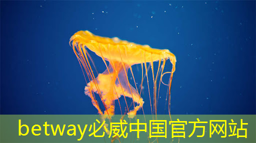 betway必威西汉姆联官网:人工智能设计芯片,还需要工程师吗? betway必威西汉姆联官网:人工智能设计芯片,还需要工程师吗?