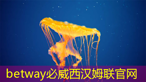 必威:2025年全球芯片市场,走势如何? 必威:2025年全球芯片市场,走势如何?