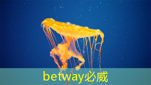 张强:中国汽车智能芯片行业里的行动派 张强:中国汽车智能芯片行业里的行动派