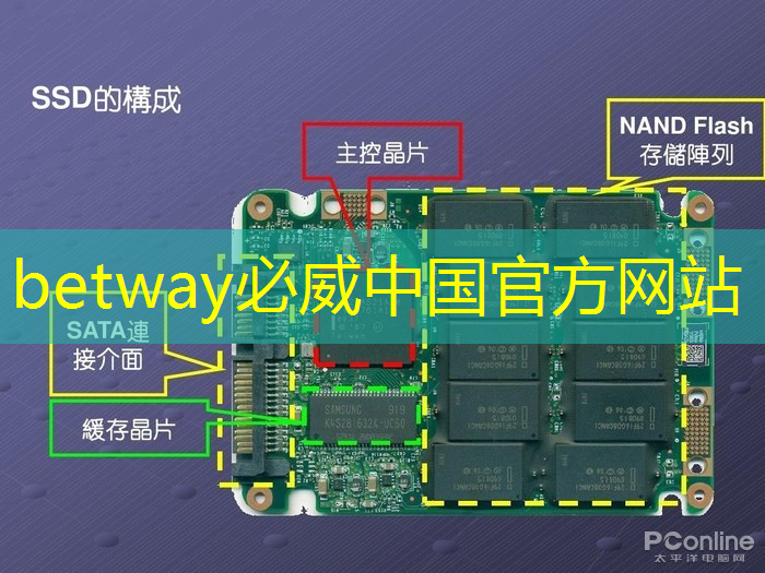 betway必威:接力巨轮智能,全国唯一人形机器人芯片龙头,业绩暴增354%+306家机构提前爆买 betway必威:接力巨轮智能,全国唯一人形机器人芯片龙头,业绩暴增354%+306家机构提前爆买