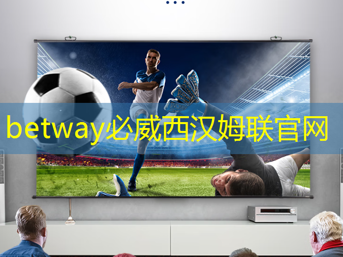 betway必威西汉姆联官网:从“功能车”迈向“智能车”时代,芯片决定性能边界 betway必威西汉姆联官网:从“功能车”迈向“智能车”时代,芯片决定性能边界