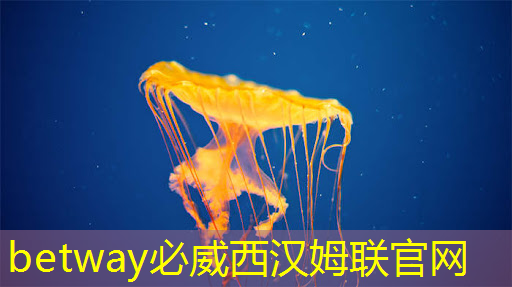 必威:曝芯片巨头高通撤离上海,赔偿 N+7 必威:曝芯片巨头高通撤离上海,赔偿 N+7