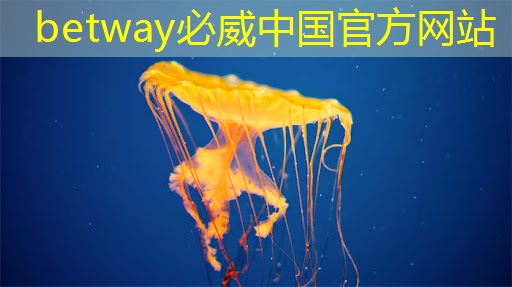 betway必威中国官方网站:智能硬件芯片行业太卷?联盛德给出了答案 betway必威中国官方网站:智能硬件芯片行业太卷?联盛德给出了答案
