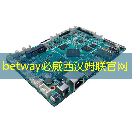 betway必威西汉姆联官网:英集芯这颗快充协议芯片打入紫米供应链:累计出货破千万颗! betway必威西汉姆联官网:英集芯这颗快充协议芯片打入紫米供应链:累计出货破千万颗!