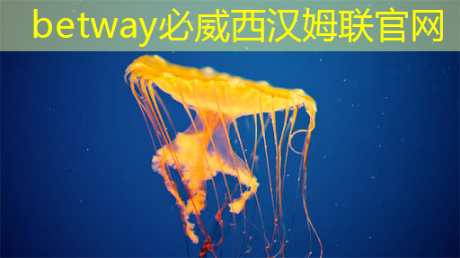 betway必威中国官方网站:华为发布鸿蒙智行首款全景智慧旗舰SUV问界M9;消息称特斯拉将成为台积电2024年3nm新芯片设计定案客户丨智能制造日报 betway必威中国官方网站:华为发布鸿蒙智行首款全景智慧旗舰SUV问界M9;消息称特斯拉将成为台积电2024年3nm新芯片设计定案客户丨智能制造日报