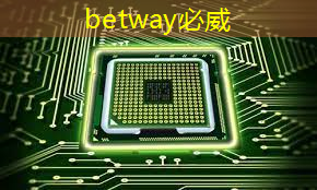 betway必威中国官方网站:上海市芯片制造与封装电子电镀专题研讨会在上海大学顺利召开! betway必威中国官方网站:上海市芯片制造与封装电子电镀专题研讨会在上海大学顺利召开!