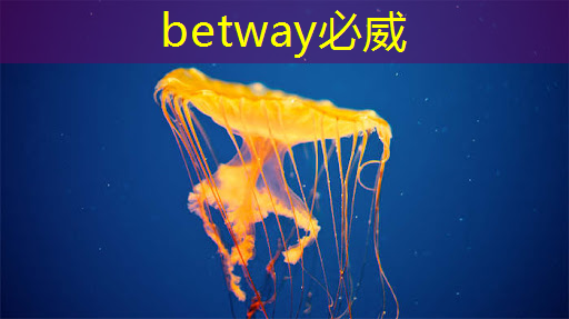 betway必威西汉姆联官网:公开课预告:一芯多屏趋势下,智能座舱芯片的创新与应用 betway必威西汉姆联官网:公开课预告:一芯多屏趋势下,智能座舱芯片的创新与应用