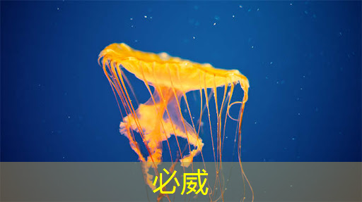 betway必威:泰凌微:边缘AI芯片及开发平台的先行者 betway必威:泰凌微:边缘AI芯片及开发平台的先行者