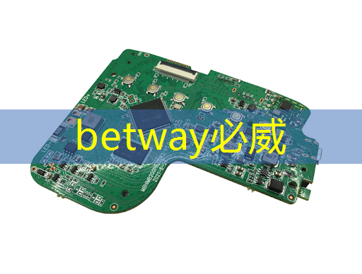 betway必威中国官方网站：上海市芯片制造与封装电子电镀专题研讨会在上海大学顺利召开！