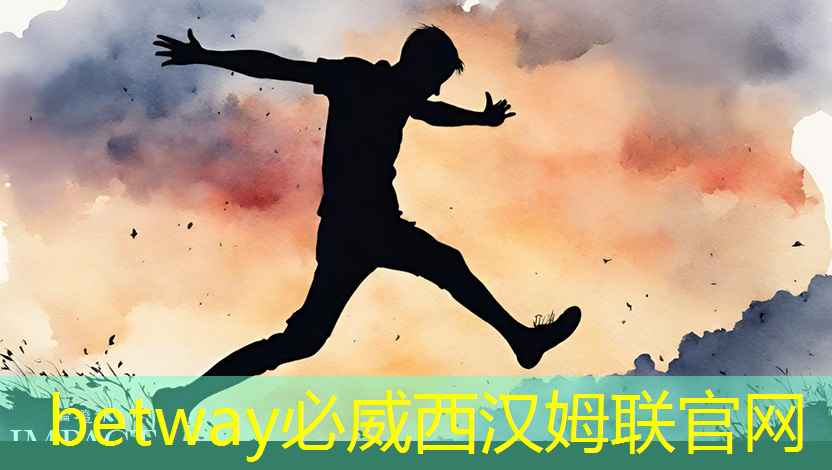 必威：电源管理芯片：如何选择与应用