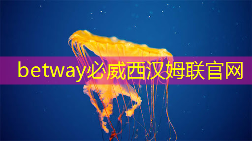 直播预告:一芯多屏趋势下,智能座舱芯片的创新与应用 直播预告:一芯多屏趋势下,智能座舱芯片的创新与应用