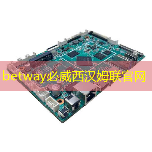 betway必威中国官方网站：芯片三巨头，叫板GPU