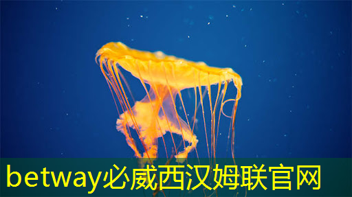 betway必威：ASIC芯片王者！垄断45%市场份额，大厂抛弃GPU，下一个常山北明？