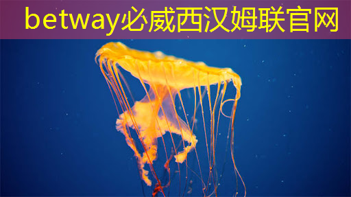 必威：车用需求拉动，预估今年上半年全球电源管理芯片产能提升4.7%
