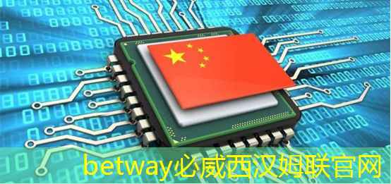 betway必威：地平线工具链核心开发者杨志刚：基于征程5芯片的Transformer量化部署实践与经验｜自动驾驶新青年讲座