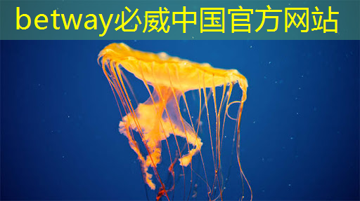 必威:集成纸基微流芯片传感器的隐形眼镜用于泪液原位分析 必威:集成纸基微流芯片传感器的隐形眼镜用于泪液原位分析