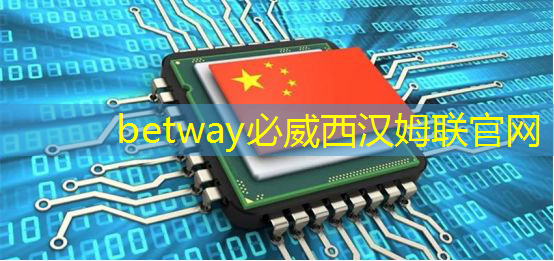 betway必威中国官方网站:中国存储芯片王者,华为战略控股,未来超越北方华创 betway必威中国官方网站:中国存储芯片王者,华为战略控股,未来超越北方华创
